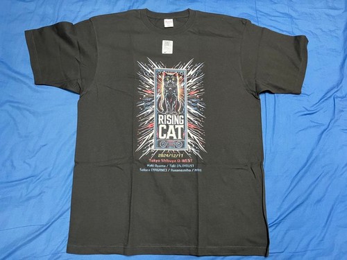 Rising cat shirt - cat, t-shirt